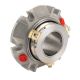 Aesseal Cartridge Mechanical Seals CDPH Slurry Seal