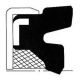 TTO Oil Seals UPVT